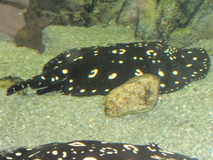P9210050