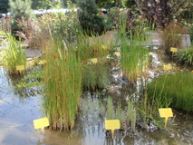 P9210054