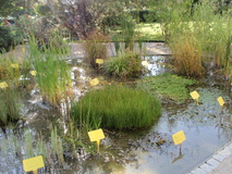 P9210055