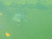 P9210056