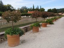 P9220091