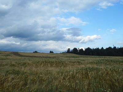 Pohled od Domoradic na severovchod
