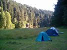 Slon louka 3