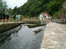 Krlovsk 32